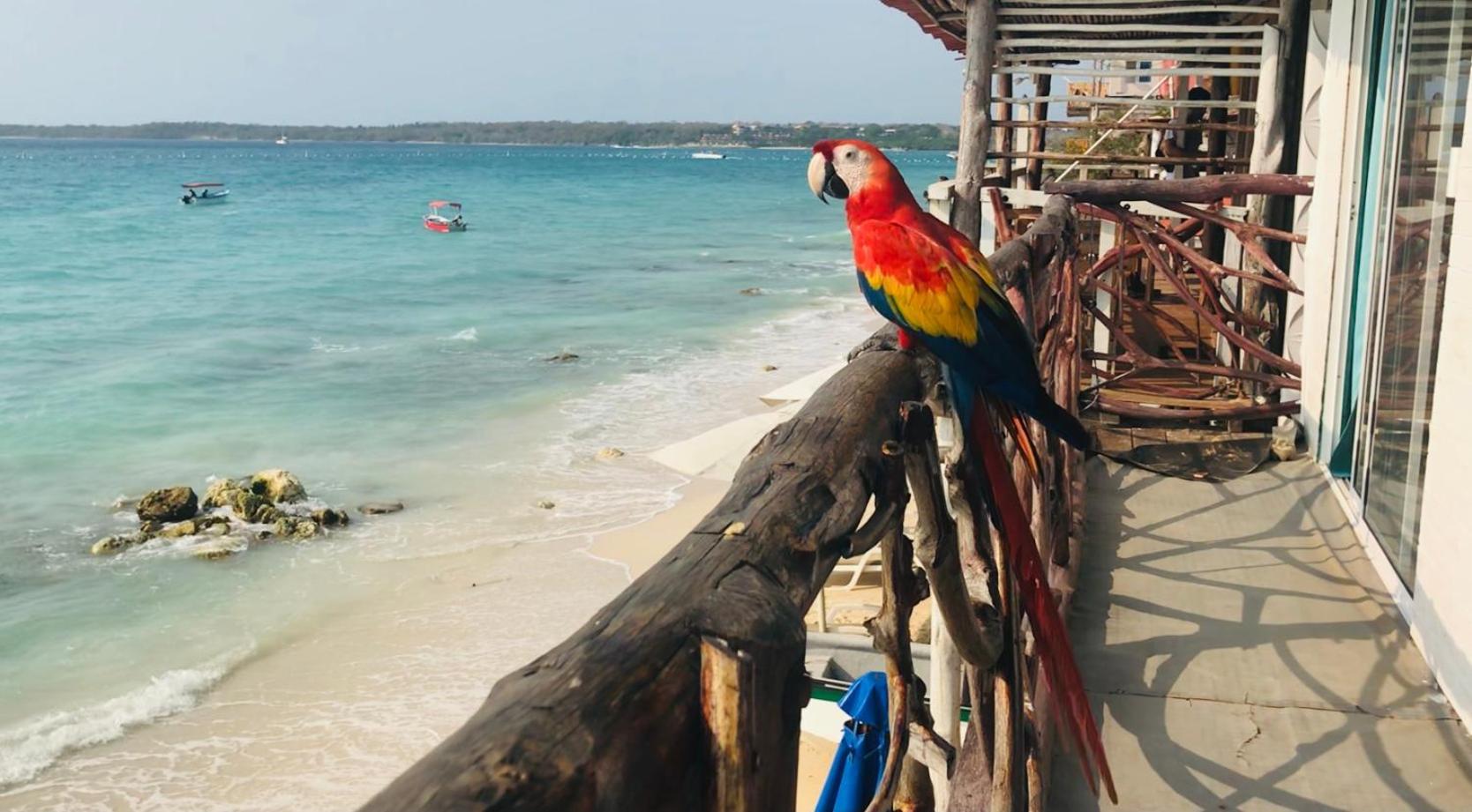Hostal Lamar Baru Donde Gertrudis プラヤ・ブランカ エクステリア 写真
